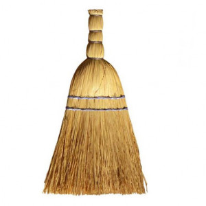 Broom without Handle